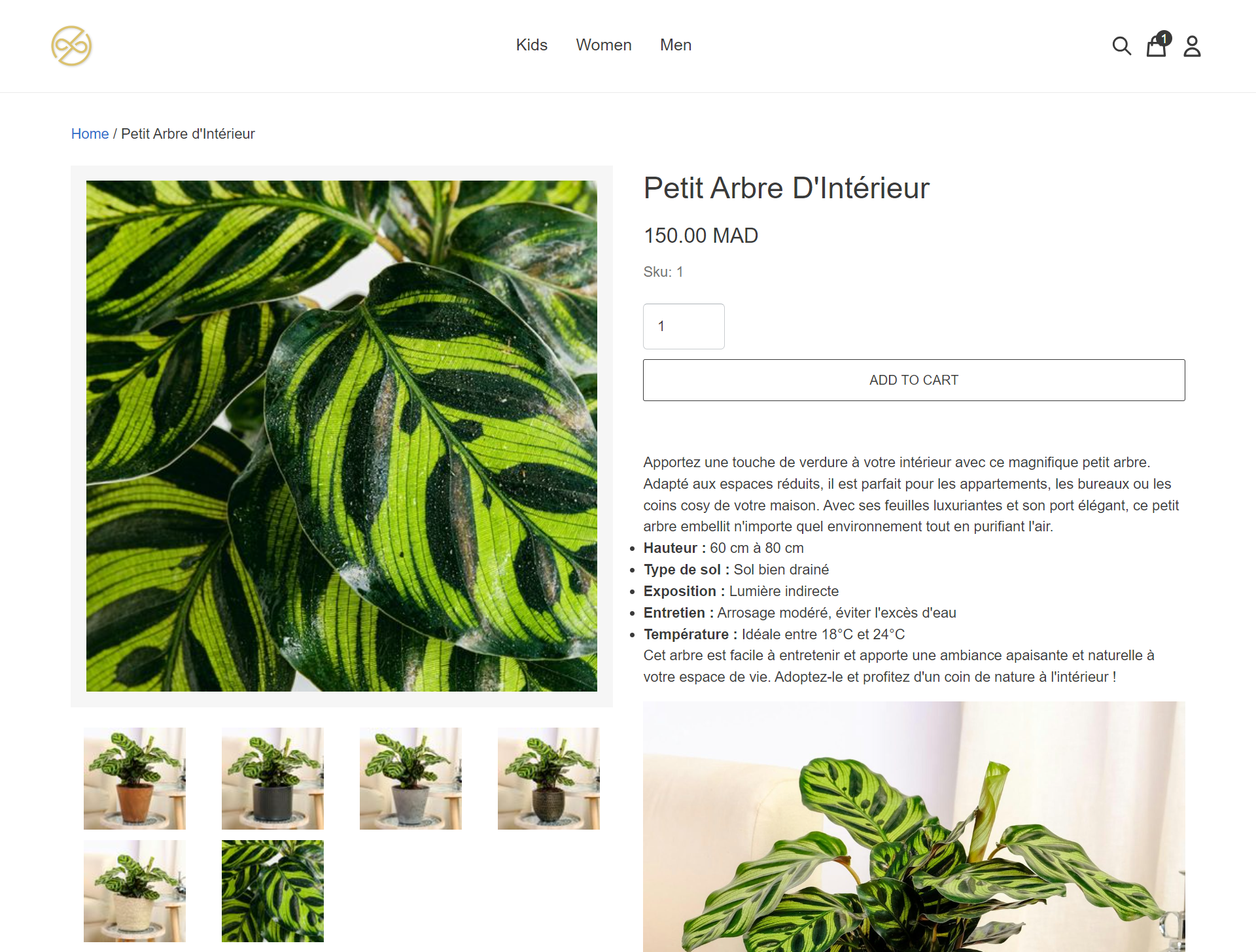 site preview